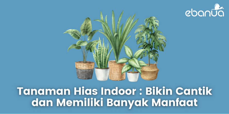 tanaman hias indoor