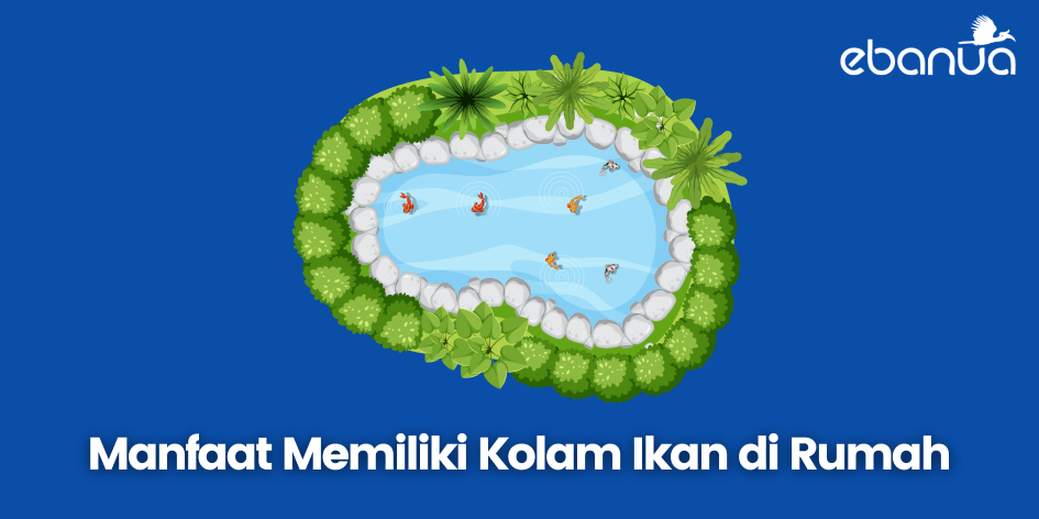 manfaat memiliki kolam ikan di rumah