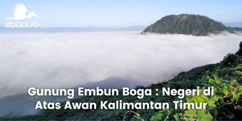 Gunung Embun Boga : Negeri di Atas Awan Kalimantan Timur