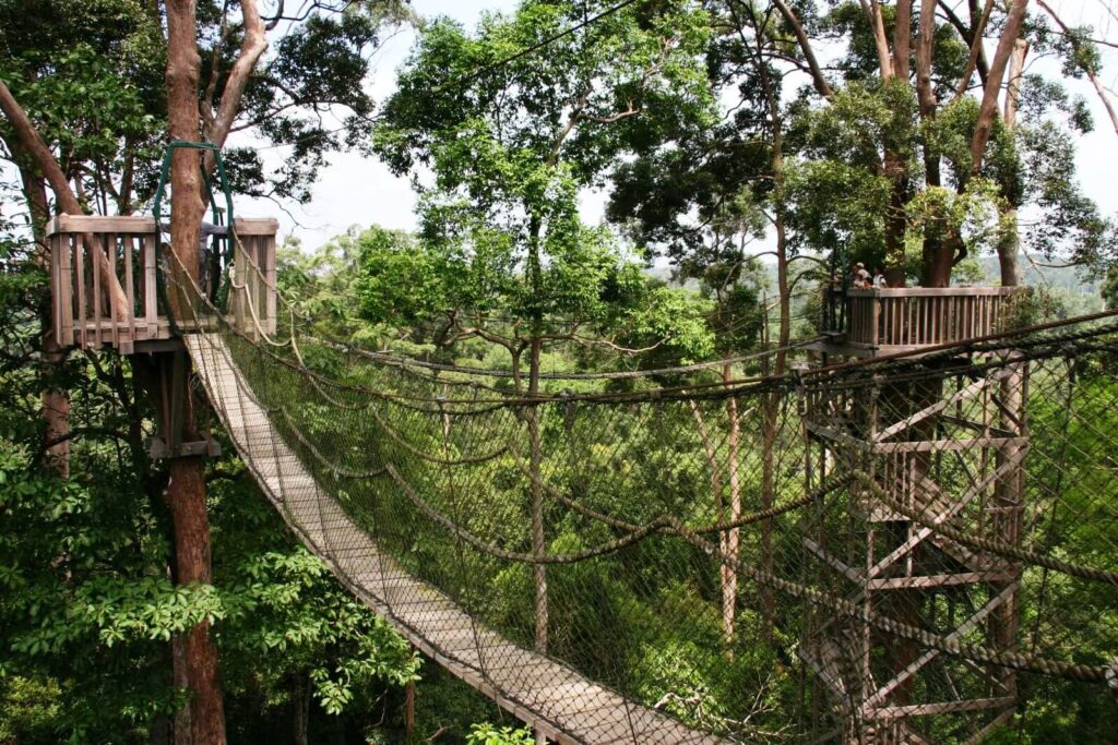 Jembatan Bukit Bengkirai
