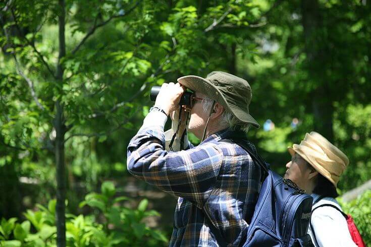 birdwatching